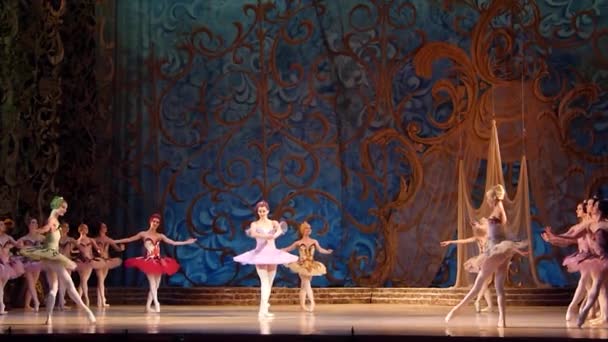 Balet klasik Putri Tidur — Stok Video