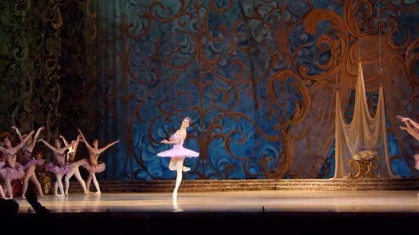古典芭蕾舞剧睡美人 — 图库视频影像