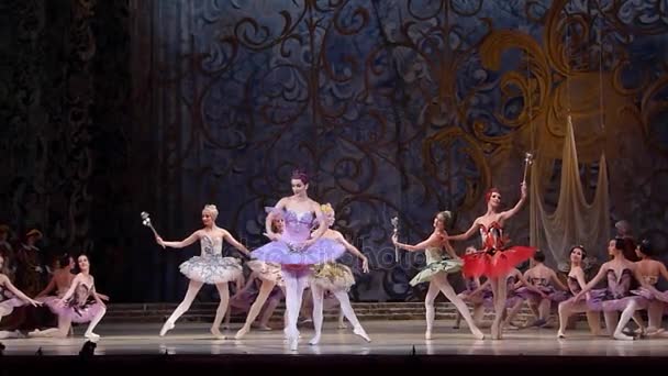 Balet klasik Putri Tidur — Stok Video