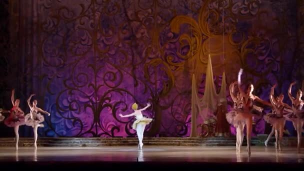 Ballet clásico Bella durmiente — Vídeo de stock