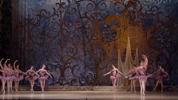 Klassiek ballet Sleeping beauty — Stockvideo