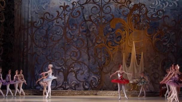 Balletto classico Bella addormentata — Video Stock