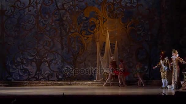 Klassisk ballett Tornerose – stockvideo