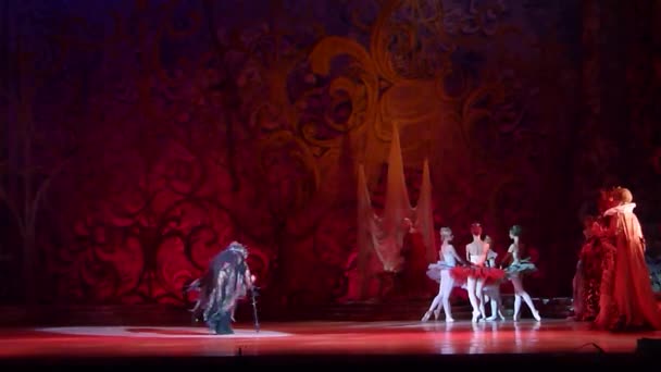 Balletto classico Bella addormentata — Video Stock