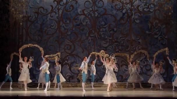 Класичного балету спальний краси — стокове відео