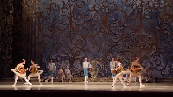 Klassiek ballet Sleeping beauty — Stockvideo