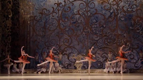 Классический балет Спящая красавица — стоковое видео