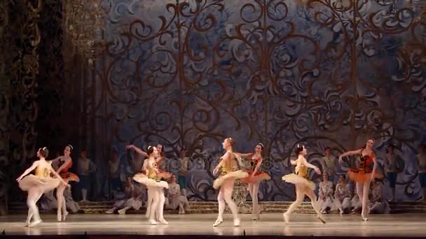 Balletto classico Bella addormentata — Video Stock