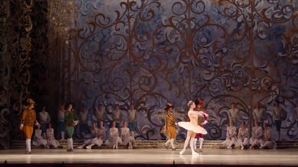 Classical ballet Sleeping beauty — Stock Video