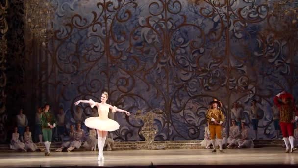 Klasycznego baletu Śpiąca Królewna — Wideo stockowe