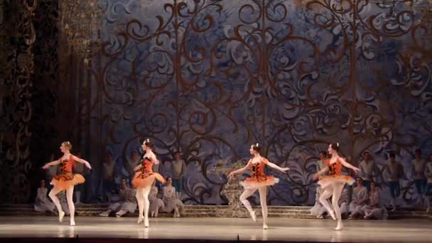 Balletto classico Bella addormentata — Video Stock