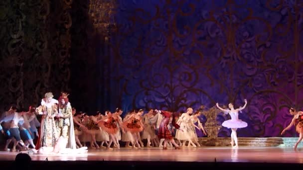 Balletto classico Bella addormentata — Video Stock