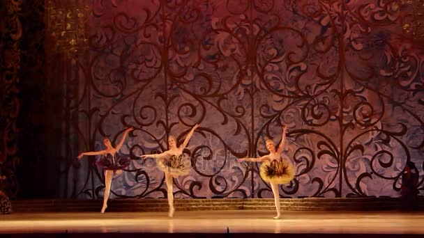 Классический балет Спящая красавица — стоковое видео