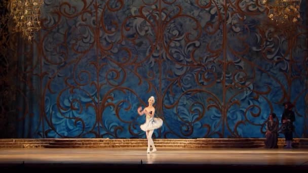 古典芭蕾舞剧睡美人 — 图库视频影像