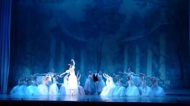 Klassiek ballet samen — Stockvideo
