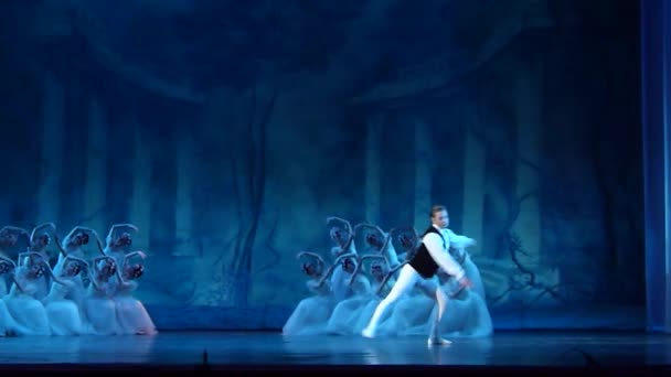 Klassiek ballet samen — Stockvideo