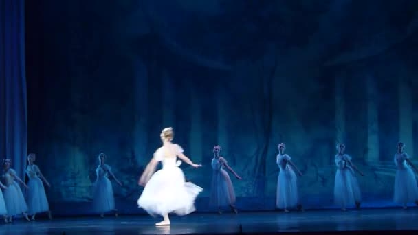 Classical ballet Sylphs — Stock Video