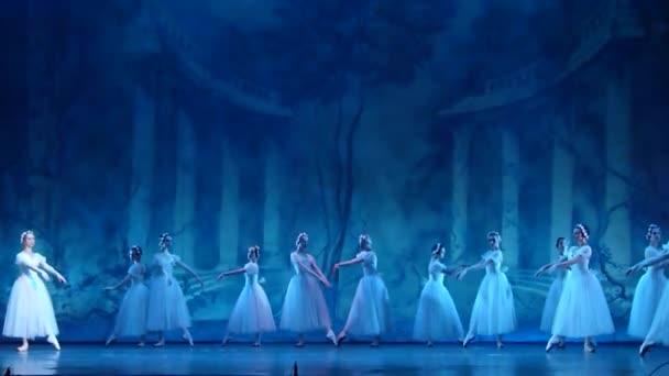Ballet clásico Sylphs — Vídeos de Stock