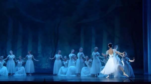 Ballet clásico Sylphs — Vídeo de stock