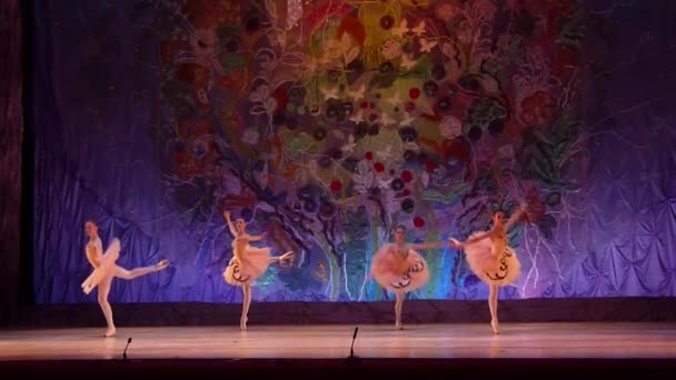 To wieczne opowieść balet — Wideo stockowe