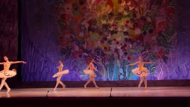Цей вічний балету казка. — стокове відео