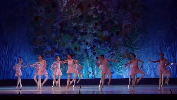 Dieses ewige Ballettmärchen — Stockvideo