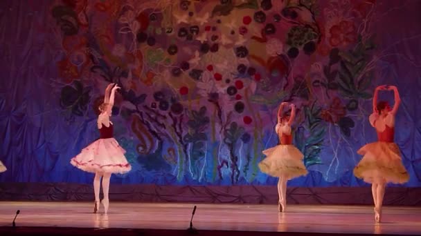 Deze eeuwige verhaal van ballet. — Stockvideo