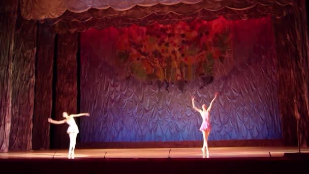 This eternal ballet tale. — Stock Video