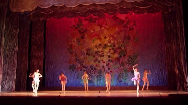 Tento věčný příběh balet. — Stock video