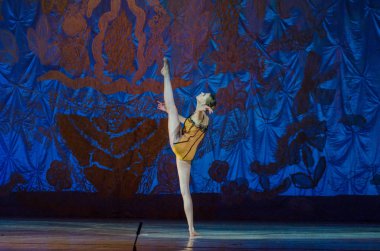 Bu sonsuz bale masalı