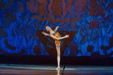 Bu sonsuz bale masalı