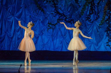 Bu sonsuz bale masalı.