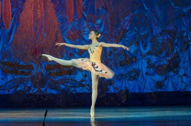 Bu sonsuz bale masalı