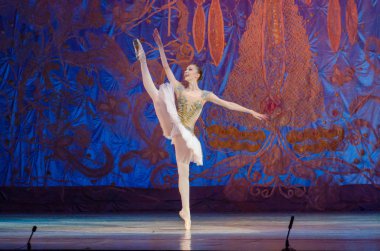 Bu sonsuz bale masalı