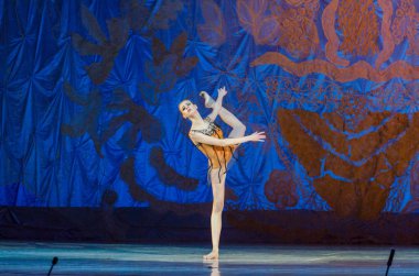 Bu sonsuz bale masalı