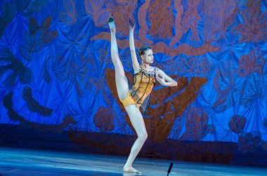 Bu sonsuz bale masalı