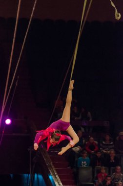 Sirk gösterisi parlak arena