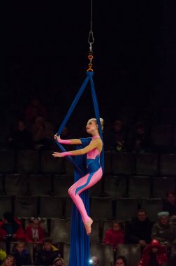 Sirk gösterisi parlak arena