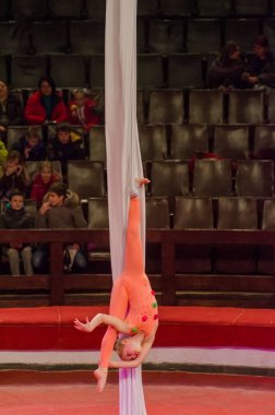 Sirk gösterisi parlak arena