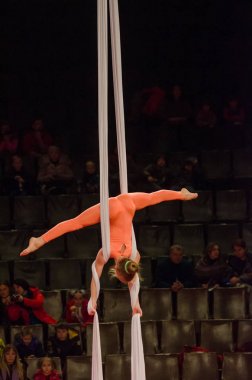 Sirk gösterisi parlak arena