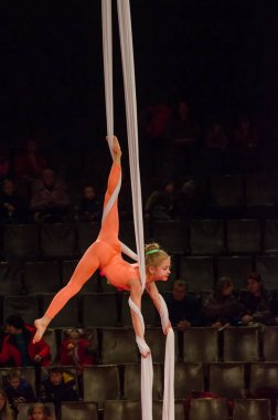 Sirk gösterisi parlak arena