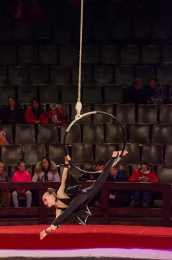 Sirk gösterisi parlak arena