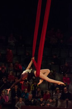 Sirk gösterisi parlak arena