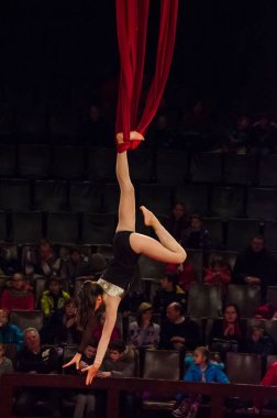Sirk gösterisi parlak arena