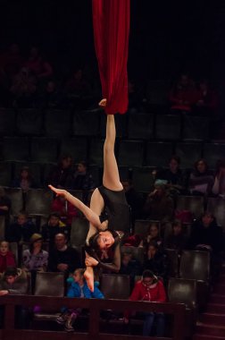 Sirk gösterisi parlak arena