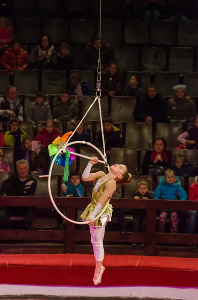 Circus show a bright arena — Stock Photo, Image