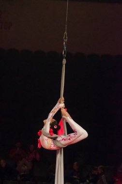 Sirk gösterisi parlak arena