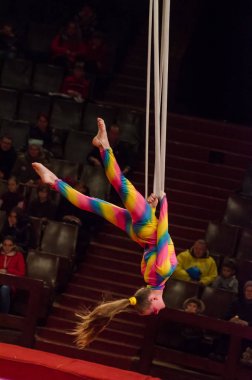 Sirk gösterisi parlak arena