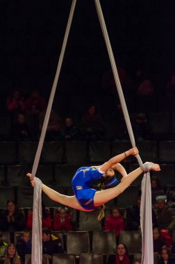 Sirk gösterisi parlak arena