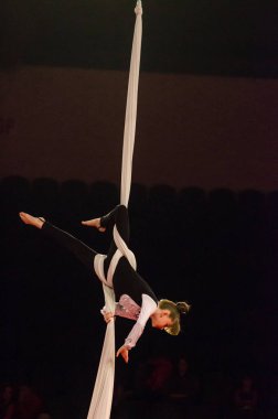 Sirk gösterisi parlak arena